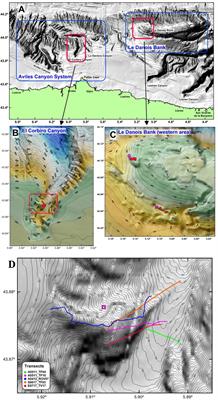 Community Composition and Habitat Characterization of a Rock Sponge Aggregation (Porifera, Corallistidae) in the Cantabrian Sea